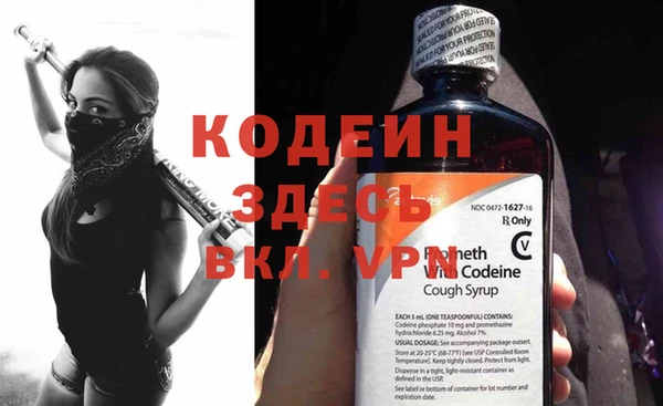 индика Абаза