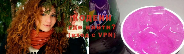 индика Абаза