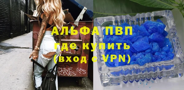 индика Абаза