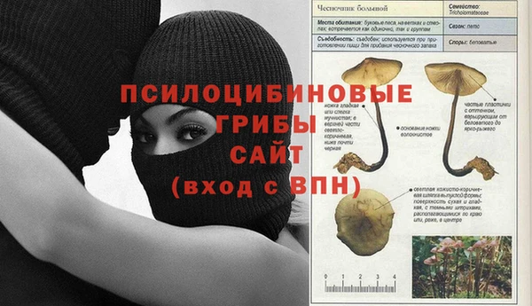 таблы Абинск