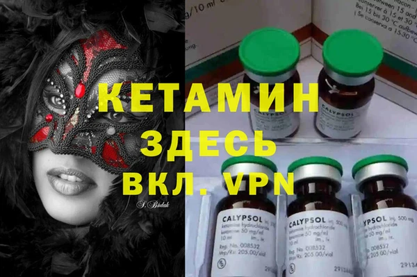 индика Абаза