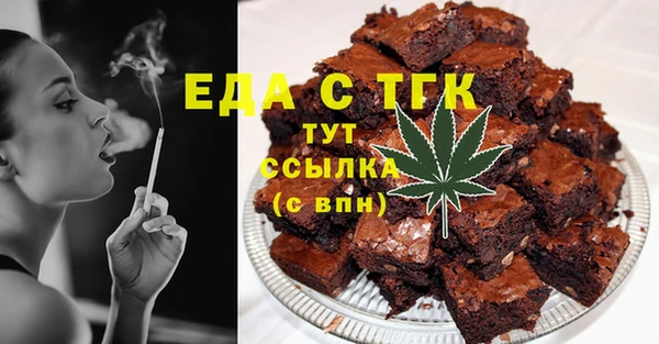 индика Абаза