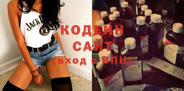 индика Абаза