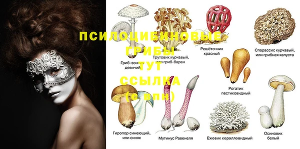 дмт Абдулино