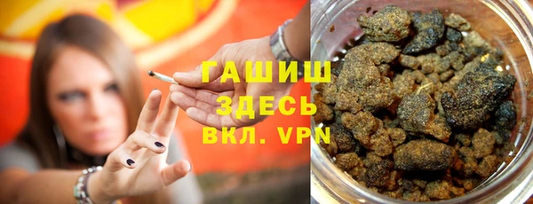 индика Абаза