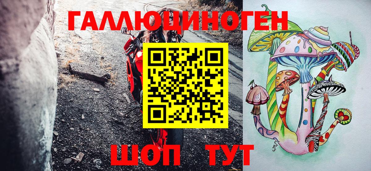 Заволжье  Псилоцибиновые грибы мухоморы  Вход с VPN 