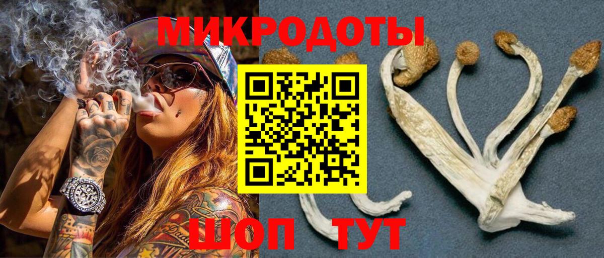 Псилоцибиновые грибы мицелий Заволжье
