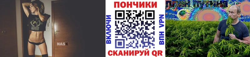 где можно купить наркотик  мориарти какой сайт  Шишки марихуана план  Заволжье 